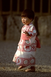 Nikon F3