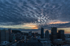 360 rue Saint-Jacques (toit)