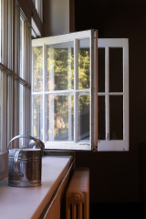 1/160s, f/7.1, ISO 1600, 39 mm 1/160s, f/7.1, ISO 1600, 39 mm