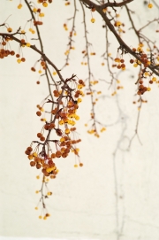 ¹⁄₃₂₀ s à ƒ / 7,1 ISO 200