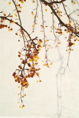 ¹⁄₃₂₀ s à ƒ / 7,1 ISO 200