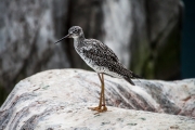¹⁄₅₀₀ s à ƒ / 6,3 ISO 1600