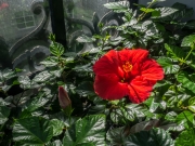 ¹⁄₅₀₀ s à ƒ / 11 ISO 200