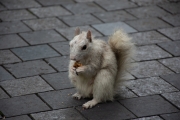 ¹⁄₁₆₀ s à ƒ / 5,6 ISO 320