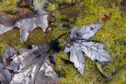 ¹⁄₂₁₀ s à ƒ / 11 ISO 1250
