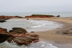 ¹⁄₁₂₅ s à ƒ / 11 ISO 160