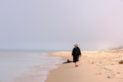 ¹⁄₃₂₀ s à ƒ / 11 ISO 160