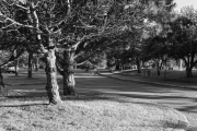 ¹⁄₃₀ s à ƒ / 11 ISO 200