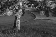 ¹⁄₂₀ s à ƒ / 11 ISO 200