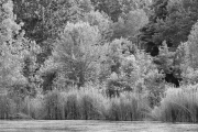¹⁄₁₀₀ s à ƒ / 8,0 ISO 400