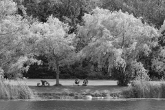 ¹⁄₁₂₅ s à ƒ / 8,0 ISO 200 ¹⁄₁₂₅ s à ƒ / 8,0 ISO 200