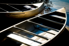 ¹⁄₁₆₀ s à ƒ / 11 ISO 100 ¹⁄₁₆₀ s à ƒ / 11 ISO 100