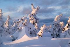 Neige