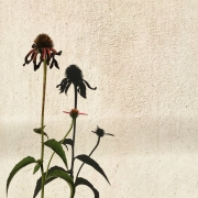 ¹⁄₁₀₆₀₀ s à ƒ / 1,8 ISO 25