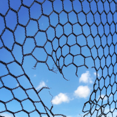 ¹⁄₂₁₀₀ s à ƒ / 1,8 ISO 20
