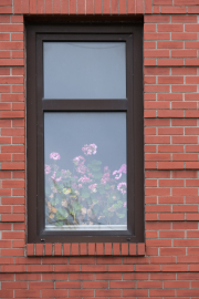 1/75s, f/5.6, ISO 400, 110.6 mm