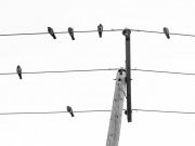 ¹⁄₆₄₀ s à ƒ / 8,0 ISO 800
