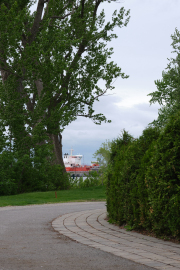 1/340s, f/8, ISO 160, 55 mm