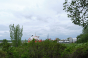 1/320s, f/8, ISO 160, 29.2 mm