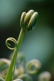 ¹⁄₂₁₀ s à ƒ / 2,8 ISO 640