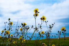 ¹⁄₂₅₀ s à ƒ / 14 ISO 160 ¹⁄₂₅₀ s à ƒ / 14 ISO 160