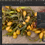 Capture One: Développement